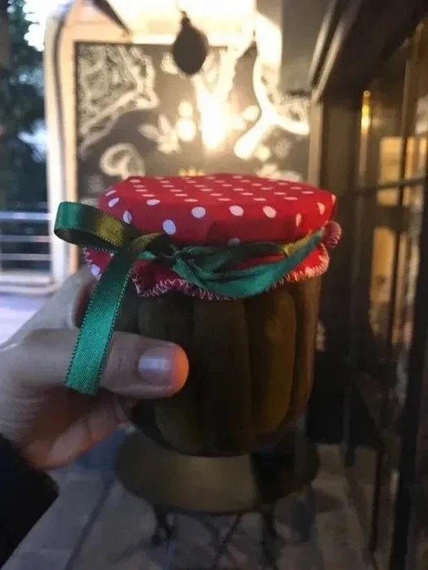 Məşhur müğənni kəndə köçüb toyuq, - tovuz quşu saxlayır, qış üçün banka bağlayır