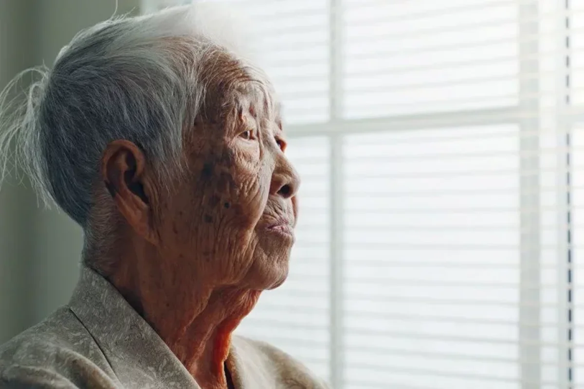 256 il yaşadı - 5 SİRRİ