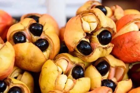 Damarları genişləndirir, qan axını yaxşılaşdırır