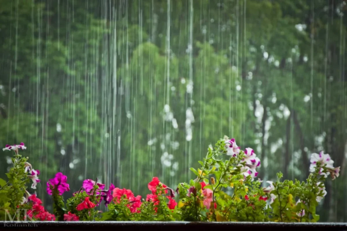 Bu ərazilərdə yağış yağır - FAKTİKİ HAVA