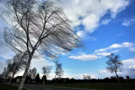 Sarı xəbərdarlıq elan edildi