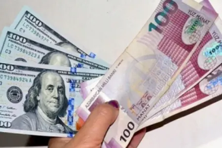 Ekspert: Devalvasiyanın dəqiq vaxtı bəlli olsaydı...