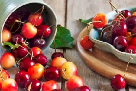 Bu gerçəyi bilənlər gilas almağa qaçır - – Görün faydası nə imiş?!