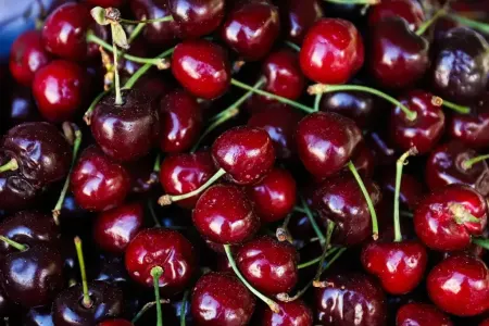 Yetişmiş albalı necə olur?