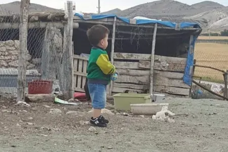 Ağcaqanad 1 yaşlı uşağın həyatını məhv etdi