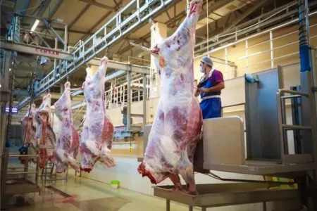 Qurbanlıq heyvanlar üçün kəsim yerləri - AÇIQLANDI