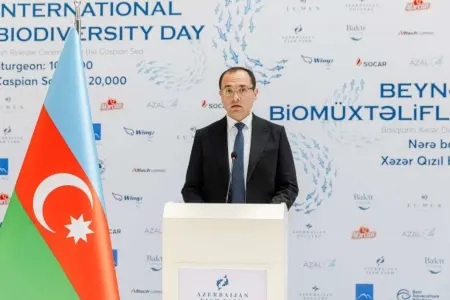 Nazir sağaldı, xalq arasına çıxdı