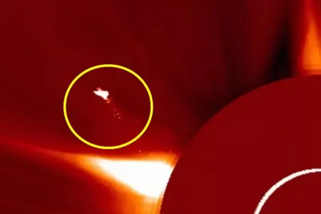 Günəşin üzərində peyda olan nəhəng "odlu quş"un sirri açıldı