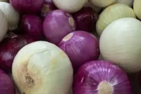 Soğanı göz yaşı tökmədən doğramağın elmi sirri açıldı