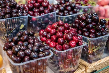 Gündə nə qədər gilas yemək olar?