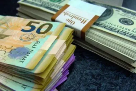 Dolların qəfil bahalaşması ilə bağlı risk... - Mühüm açıqlama