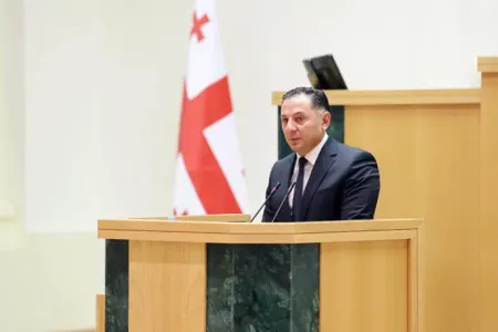 Gürcüstanın daxili işlər naziri istefa - VERDİ