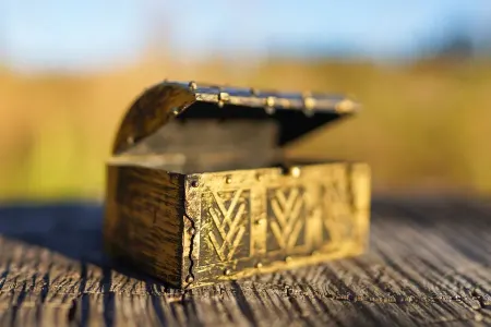 Bağban 100 min dollarlıq xəzinə - TAPDI