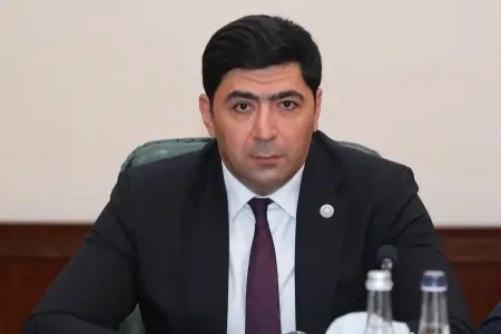 Anar Osmanlı Qərbi Azərbaycan İcmasının növbəti görüşündə - İŞTİRAK ETDİ