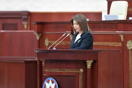 Bahar Muradova Milli Məclisdə hesabat verir