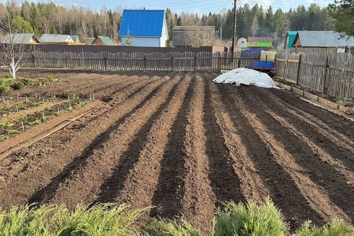 İyunun 4-dən bağ evlərində hasarların quraşdırılması qadağan - OLUNACAQ