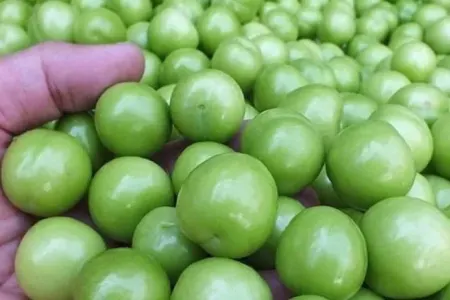 Alça yedikdən sonra - BUNU EDİN