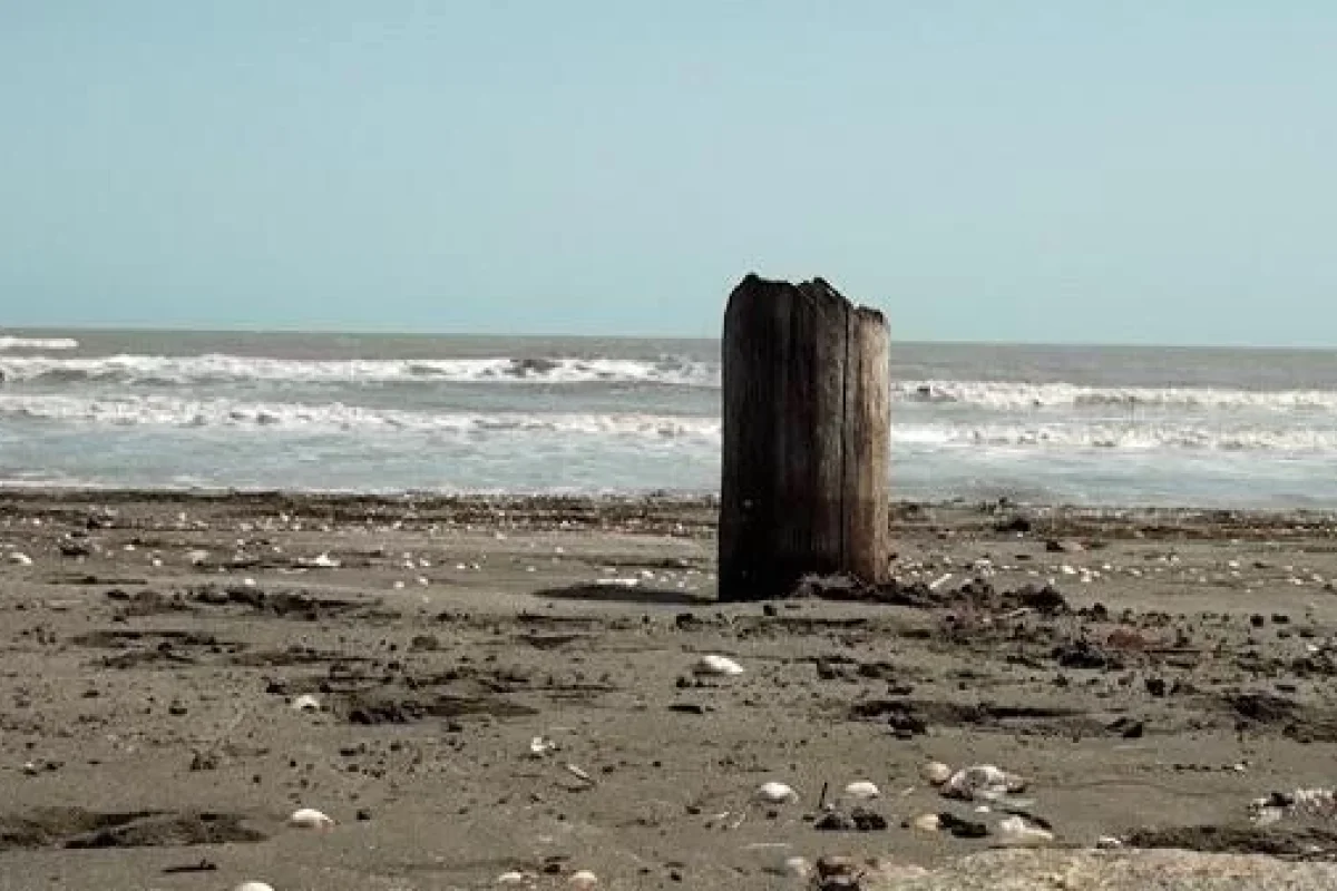 Xəzər dənizinin suyu niyə azalır?