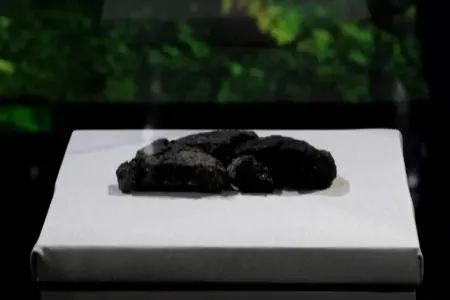 5 min il əvvəlki çörək qalığı tapıldı: - yenidən hazırlanır
