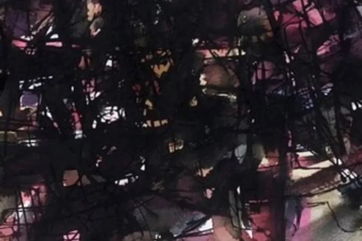 Məşhur rəssamın oğurlanmış tablosu zibil qutusunda tapıldı: - Dəyəri nə qədərdir?