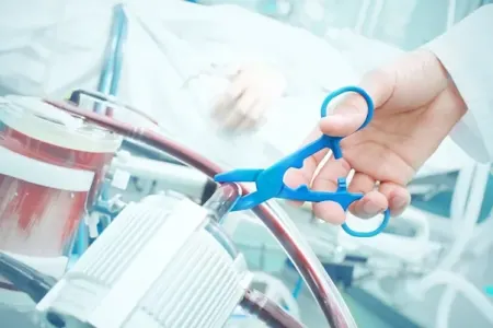 Daha bir ölkədə evtanaziya qanuniləşdi
