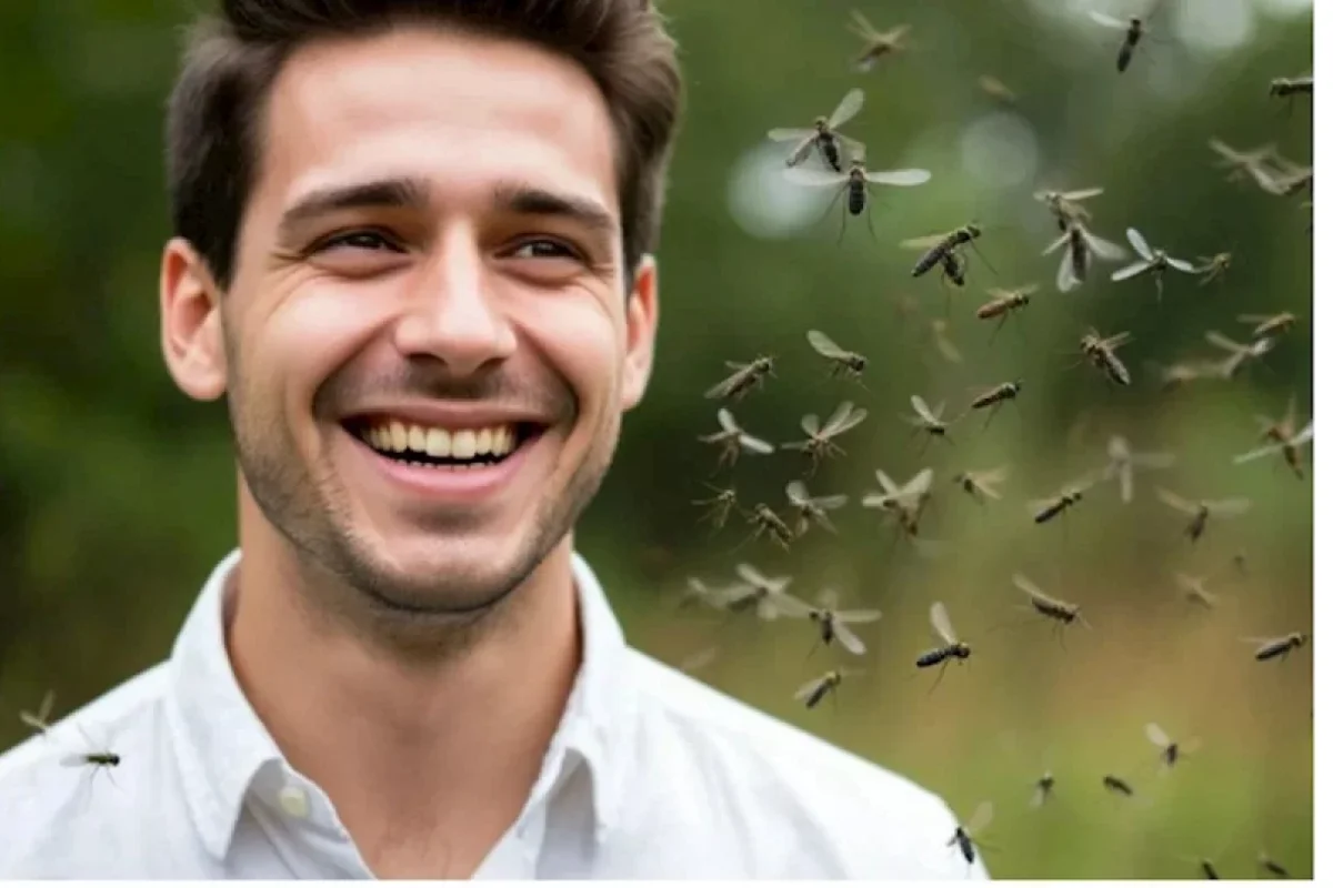 Hansı rəngdə paltarlar ağcaqanadları uzaqlaşdırır?