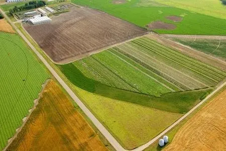 Azərbaycanda növbəti torpaq hərracları keçiriləcək