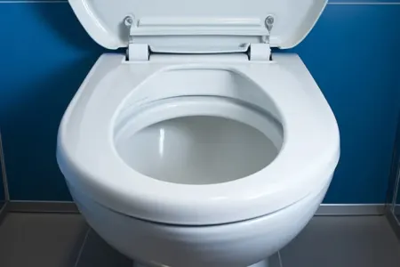 Unitazdan daha çirkli - 5 ƏŞYA