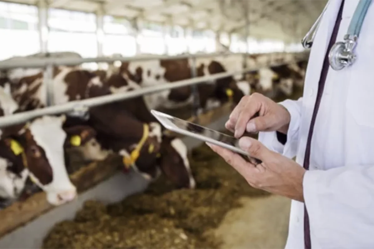 Bu obyektlərin qeydiyyat xərcləri ləğv edildi