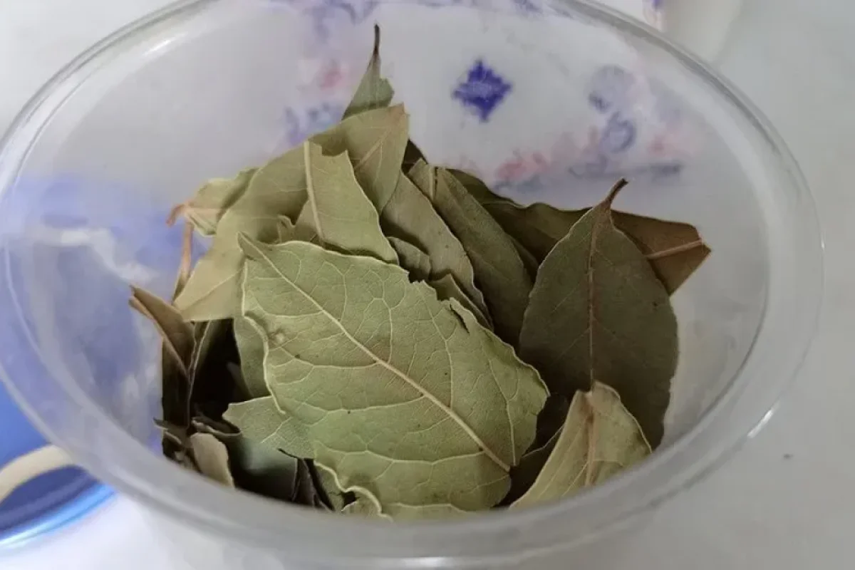 Evin girişindəki xalçanın altına bir dəfnə yarpağı qoyun - Görün nə baş verəcək