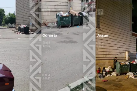 Səhər, günorta, axşam - Üfunət, natəmizlik, nəzarətsizlik