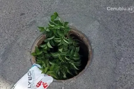 Lənkəranda yolun ortasında təhlükə - VİDEO