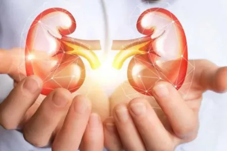 Böyrəklərə zərər verən məhsullar hansılardır?