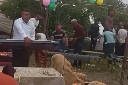 Qəbələdə güclü külək toy mağarını uçurdu