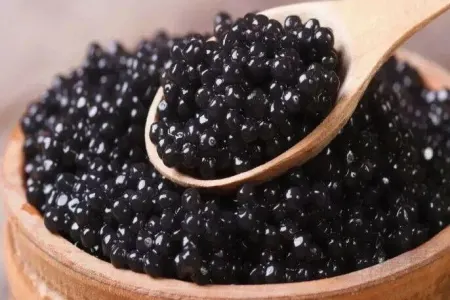 Kürü istehsalında rekord artım