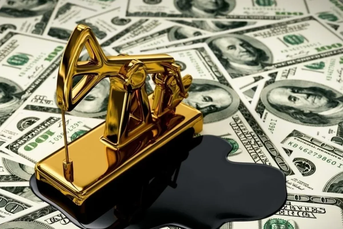 Neft sektoruna investisiyalar kəskin azalacaq