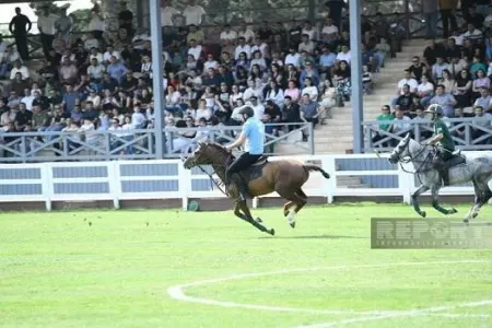 Çövkən üzrə millimiz ilk dəfə Avropa çempionu oldu
