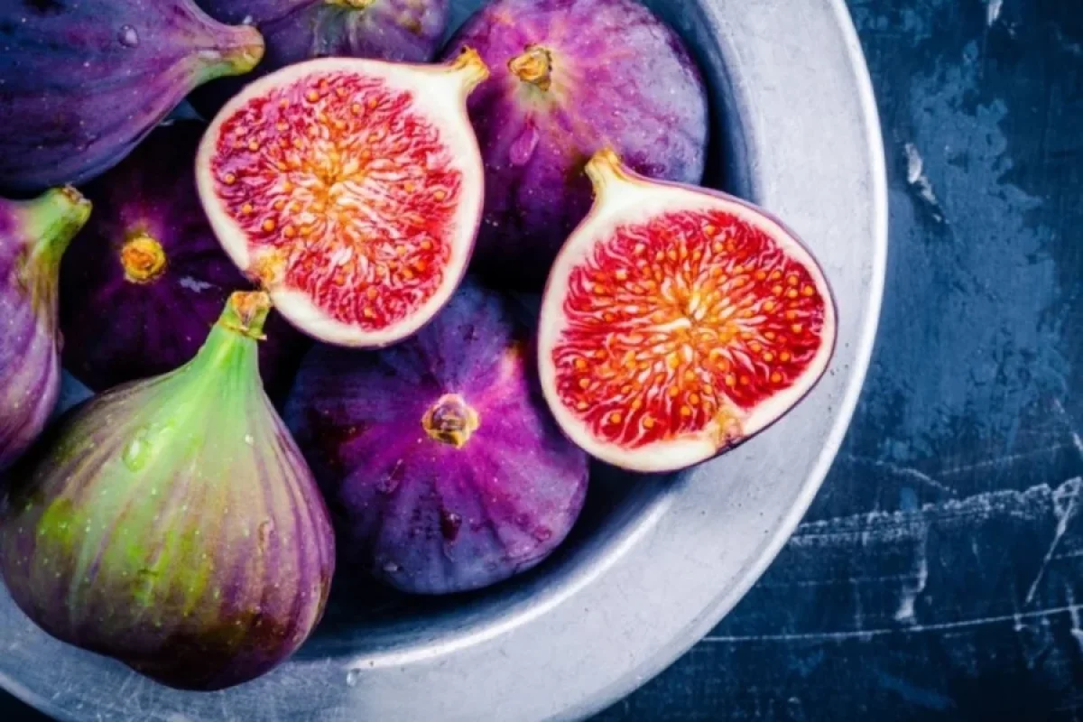 Əncir istehsalından necə qazanc əldə etmək olar?