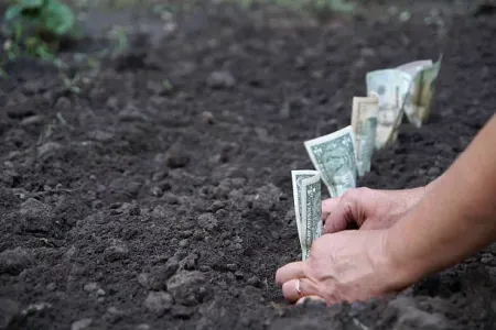 "Bu ərazilərdə torpaq qiymətləri - BAHALAŞACAQ"