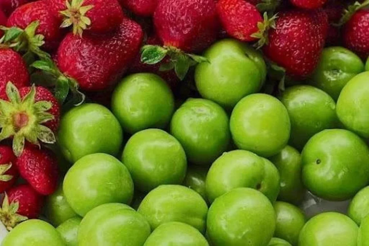 Mövsümü gəlsə də, qiymətləri - “CİB YANDIRIR”