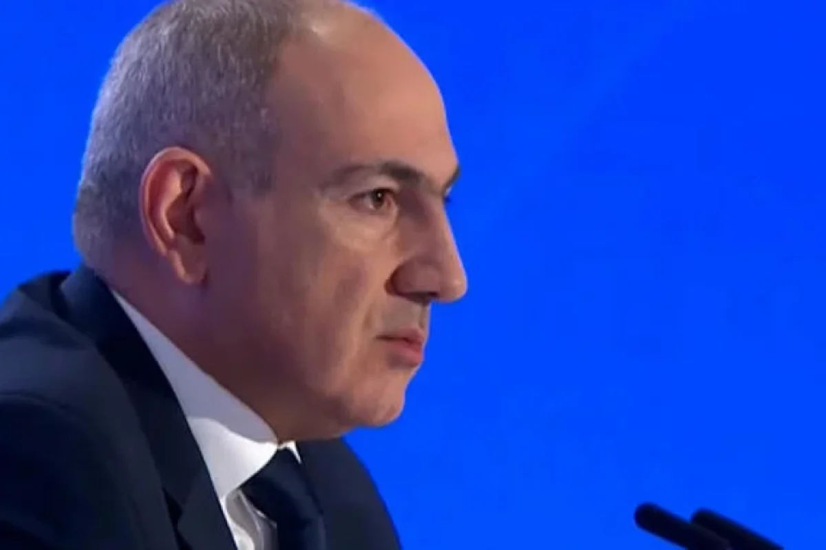 Skandinaviya erməni diasporu Nikol Paşinyana qarşı