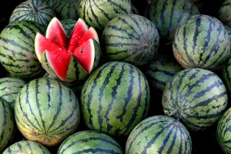 "Bu qarpızları almayın, zəhərlənəcəksiniz"