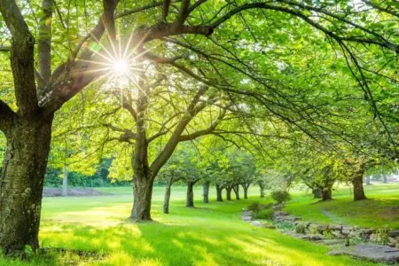 Sabah havanın temperaturu dəyişəcək