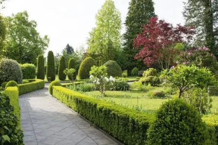 Bakının bu ərazisində yeni park salınacaq