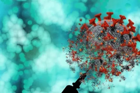 Meymunçiçəyinə yoluxma halları aşkar EDİLDİ