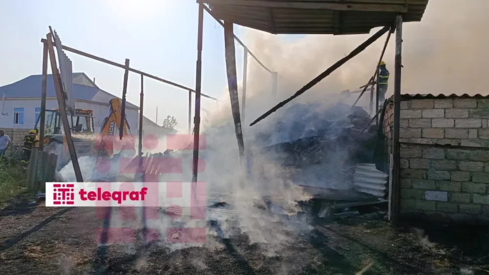 Salyanda fermada yanğın: - çoxlu sayda heyvan tələf oldu