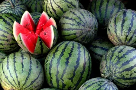 İndi qarpız yemək olarmı? - Ekspert məsləhəti