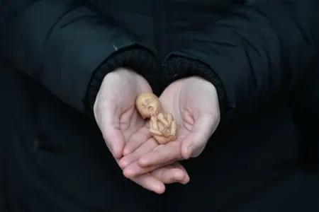 Qanunsuz aborta görə cəzalar - SƏRTLƏŞDİRİLİR