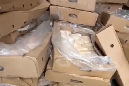 600 kq yararsız toyuq əti aşkarlandı - VİDEO