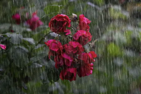 Güclü leysan, dolu, sulu qar - XƏBƏRDARLIQ